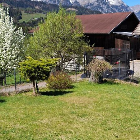 Appartement Winteraugut Werfen Dış mekan fotoğraf