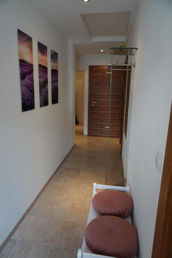 Appartement Winteraugut Werfen Dış mekan fotoğraf