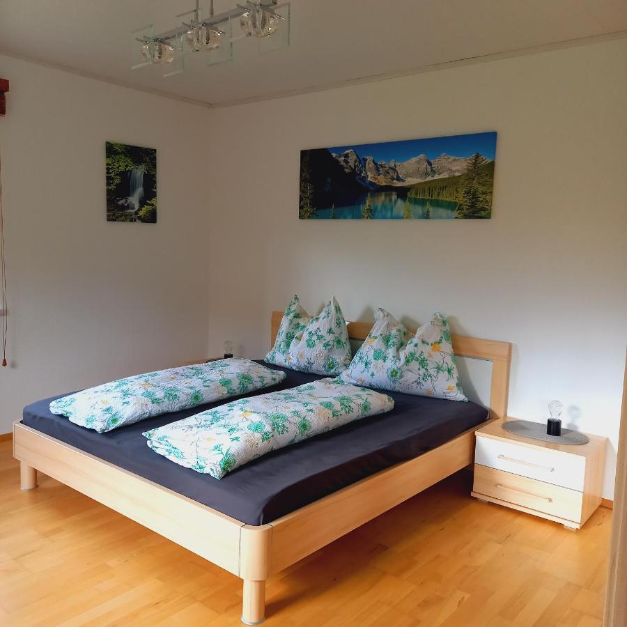 Appartement Winteraugut Werfen Dış mekan fotoğraf