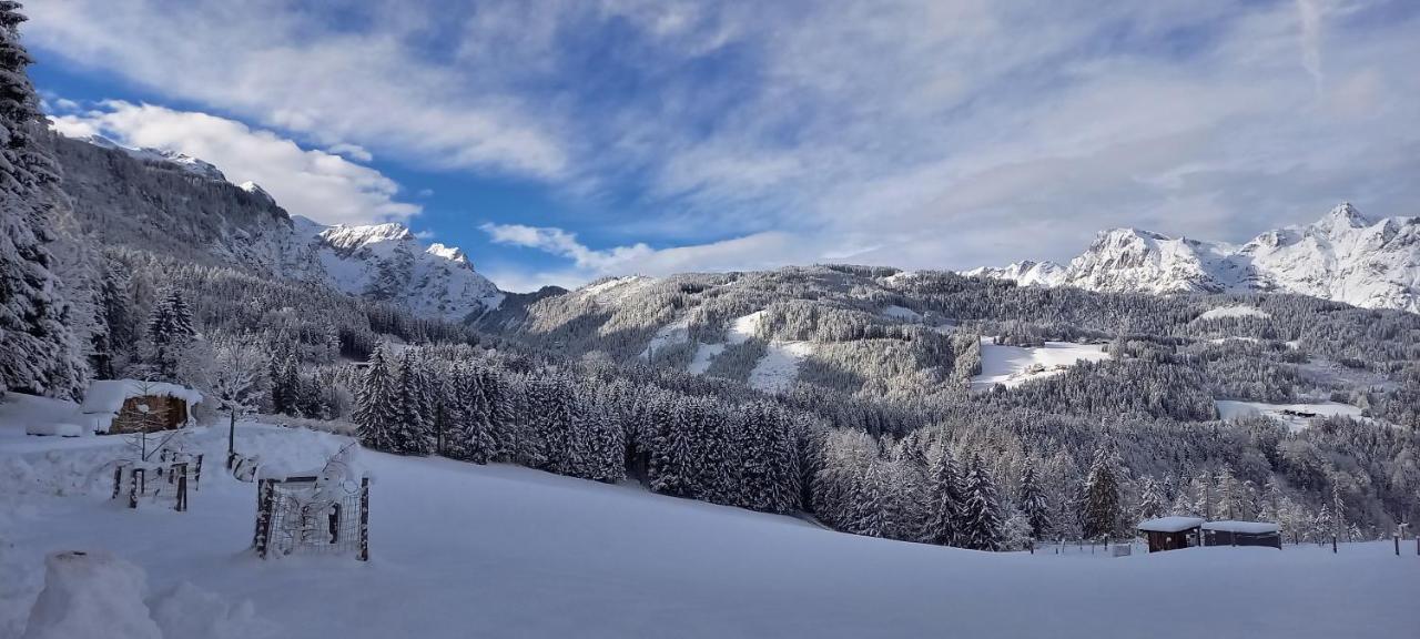 Appartement Winteraugut Werfen Dış mekan fotoğraf