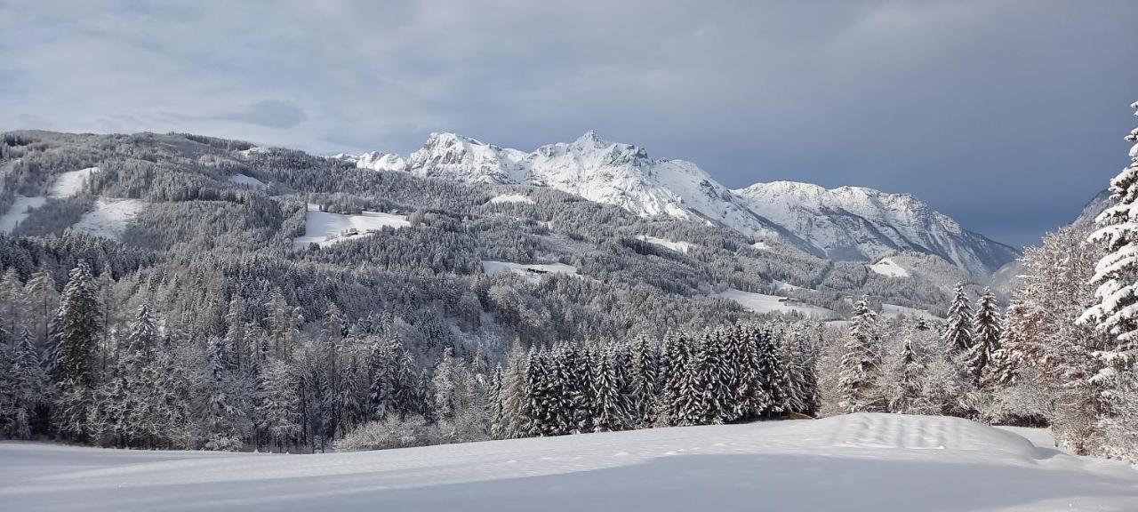 Appartement Winteraugut Werfen Dış mekan fotoğraf