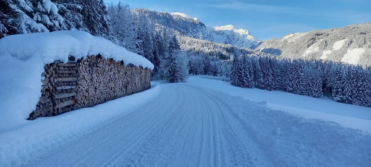Appartement Winteraugut Werfen Dış mekan fotoğraf