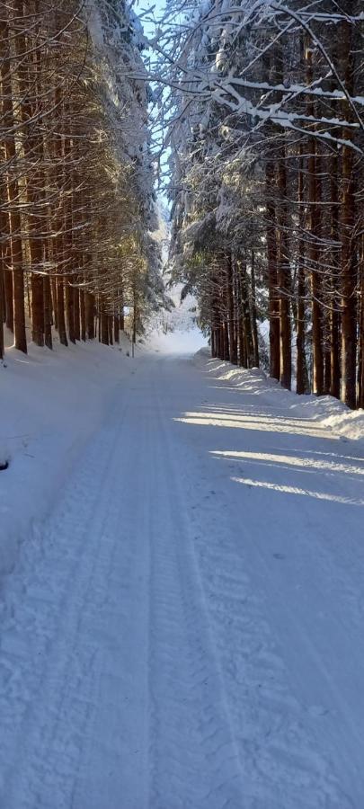 Appartement Winteraugut Werfen Dış mekan fotoğraf