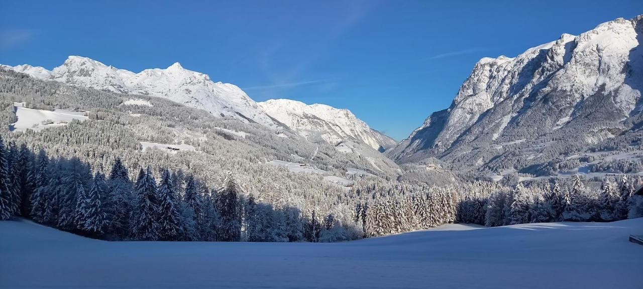 Appartement Winteraugut Werfen Dış mekan fotoğraf
