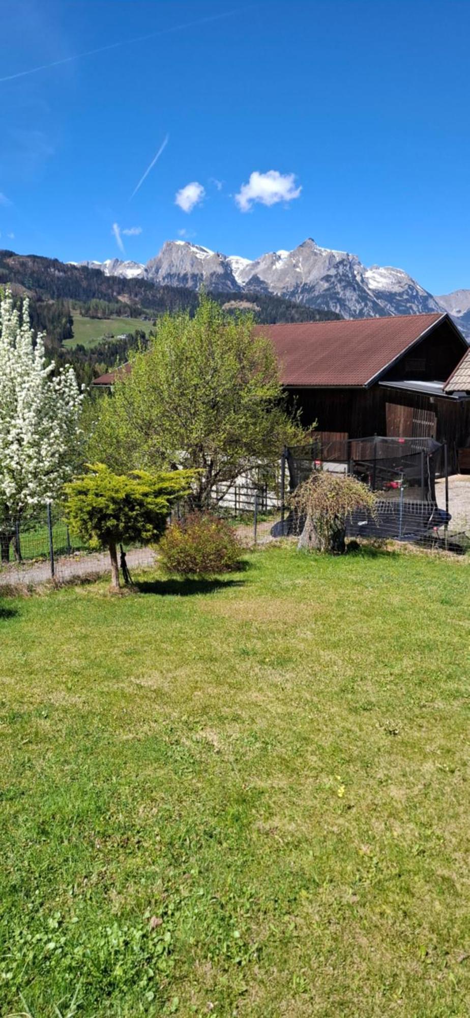 Appartement Winteraugut Werfen Dış mekan fotoğraf